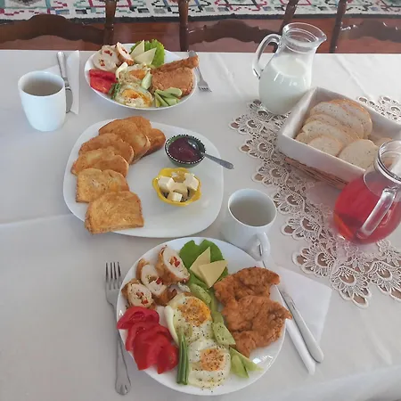 Casa Din Guest house